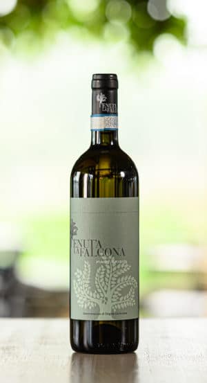 Fles Pinot Grigio, Tenuta La Falcona, Marano di Valpolicella, Italië, 2018
